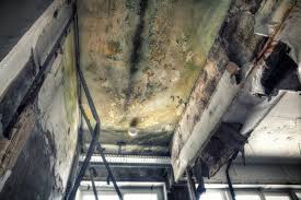 Asbestos and Lead Testing During Mold Inspection in Madison, FL